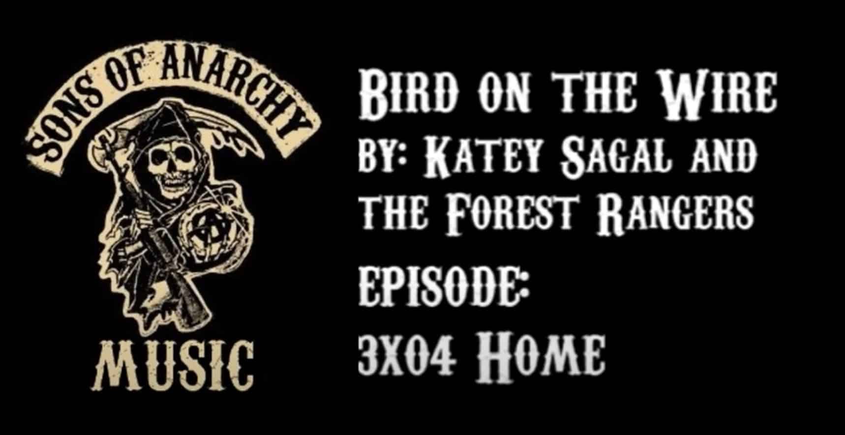 bird-on-a-wire-lyrics-–-katey-sagal-featuring-the-forest-rangers